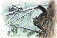Nuts To winter